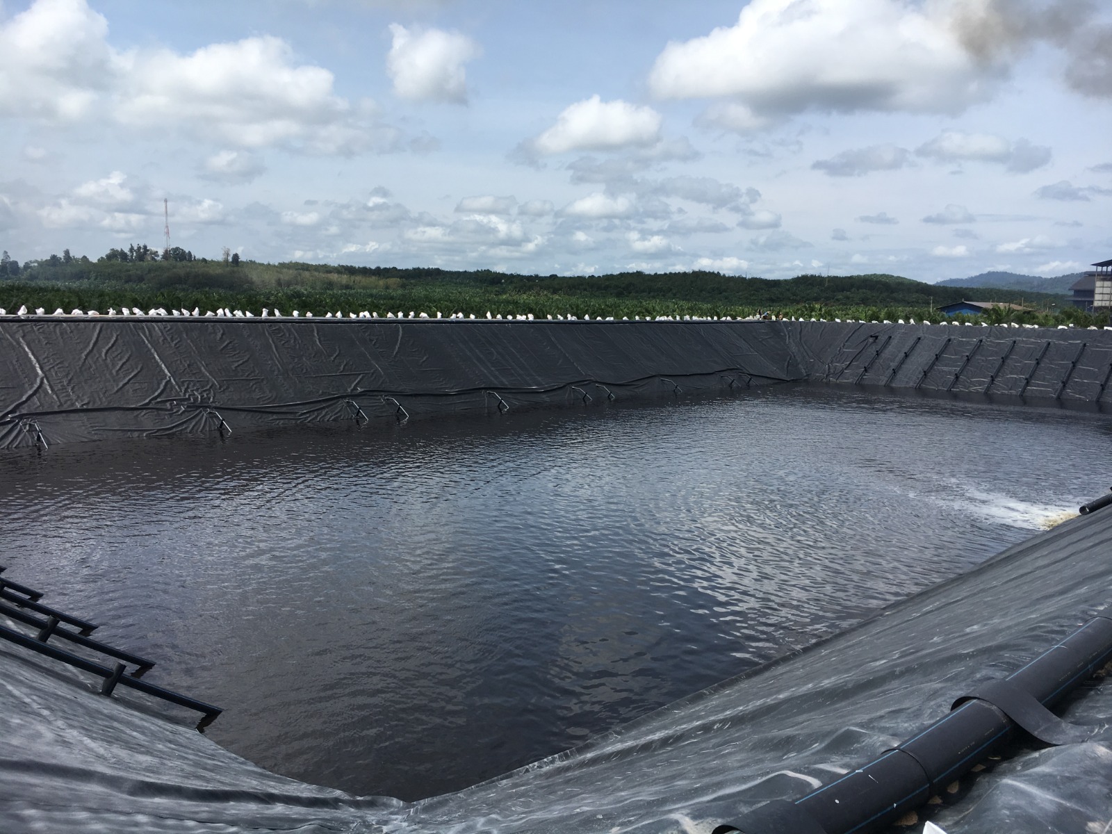 HDPE Geomembrane Lining | Pond Liner
