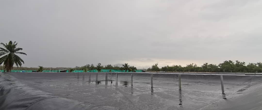 Aquaculture Pond Liner Image 2
